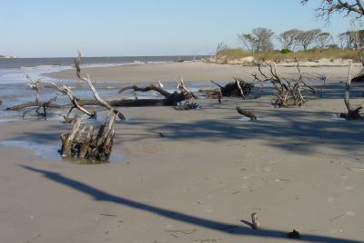 Beach on Jekyll Island, GA