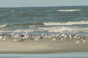 Gould's Inlet on St. Simons Island, GA